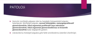 PATOLOJi
 Geniş bir morfolojik yelpazesi olan bu hastalığın histopatolojik bulguları
heterojendir. Morfolojik bulguları, normal histolojiden, mezangioproliferatif
glomerülonefrite, fokal segmental proliferatif veya nekrotizan
glomerülonefrite, fokal segmental glomerüloskleroza ve kresentik
glomerülonefrite kadar değişkenlik gösterir.
 Literatürde bu histolojik bulgulara göre farklı sınınıfandırma sistemleri önerilmiştir.
 