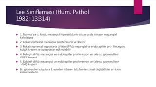 Lee Sınıflaması (Hum. Pathol
1982; 13:314)
 1. Normal ya da fokal, mezangial hipersellülarite olsun ya da olmasın mezangial
kalınlaşma
 2. Fokal segmental mezangial proliferasyon ve skleroz
 3. Fokal segmental lezyonlarla birlikte dFFüz mezangial ve endokapiller pro- liferasyon,
küçük kresent ve adezyonlar eşlik edebilir
 4. Belirgin diffüz mezangial ve endokapiller proliferasyon ve skleroz, glomerüllerin
≤%45 kresent
 5. Şiddetli diffüz mezangial ve endokapiller proliferasyon ve skleroz, glomerüllerin
>%45 kresent
 Bu glomerüler bulgulara 3. evreden itibaren tübülointerstisyel değişiklikler ar- tarak
eklenmektedir.
 