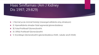 Haas Sınıflaması (Am J Kidney
Dis 1997; 29:829)
 I. Normal ya da minimal histoloji (mezangial sellülarite artışı olmaksızın)
 II. Hipersellülarite olmadan fokal segmental glomerüloskleroz
 III. Fokal Proliferatif Glomerülonefrit
 IV. Dfifü̈z Proliferatif Glomerülonefrit
 V. Kronikleşen Glomerülonefrit (glomerü̈loskleroz ≥%40 , tübüler atrofi ≤%40)
 