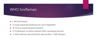 WHO Sınıflaması
 I. Minimal histoloji
 II. Küçük segmental proliferasyonlu minör değişiklikler
 III. Fokal ve segmental glomerülonefrit
 IV. Proliferasyon ve skleroz gösteren diffüz mezangiyal lezyonlar
 V. Diffüz sklerozan glomerülonefrit (glomerüllerin >%80 etkileyen)
 