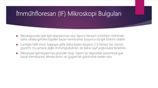 İ̇mmü̈nfloresan (IF) Mikroskopi Bulguları
 Mezangiumda tipik IgA depolanması olur. Ayrıca Henoch-Schönlein nefritinde
daha sıklıkla görülen kapiller bazal membranlar boyunca da IgA birikimi olabilir.
 Lambda hafif zincir, kappaya göre daha baskın boyanır. C3 hemen her zaman
pozitiTir. Eş zamanlı diğer immünglobülinler de daha zayıf yoğunlukta birikebilir.
 Mezangial IgA boyanması granüler olup, bazen bu depozitler paramezangial
bazal membranlar altında birikir ve çizgisel bir görünüme neden olur.
 