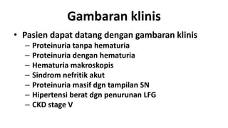 Gambaran klinis
• Pasien dapat datang dengan gambaran klinis
  –   Proteinuria tanpa hematuria
  –   Proteinuria dengan hematuria
  –   Hematuria makroskopis
  –   Sindrom nefritik akut
  –   Proteinuria masif dgn tampilan SN
  –   Hipertensi berat dgn penurunan LFG
  –   CKD stage V
 