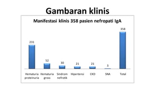 Gambaran klinis
     Manifestasi klinis 358 pasien nefropati IgA
                                                          358



   231




             52
                        30          21        21
                                                    3

Hematuria Hematuria   Sindrom    Hipertensi   CKD   SNA   Total
proteinuria gross     nefrotik
 