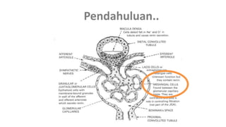 Pendahuluan..
 