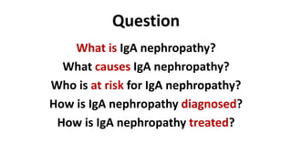 Question
    What is IgA nephropathy?
  What causes IgA nephropathy?
Who is at risk for IgA nephropathy?
How is IgA nephropathy diagnosed?
 How is IgA nephropathy treated?
 