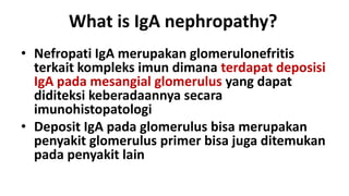 What is IgA nephropathy?
• Nefropati IgA merupakan glomerulonefritis
  terkait kompleks imun dimana terdapat deposisi
  IgA pada mesangial glomerulus yang dapat
  diditeksi keberadaannya secara
  imunohistopatologi
• Deposit IgA pada glomerulus bisa merupakan
  penyakit glomerulus primer bisa juga ditemukan
  pada penyakit lain
 