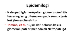 Epidemilogi
• Nefropati IgA merupakan glomerulonefritis
  tersering yang ditemukan pada semua jenis
  lesi glomerolunefritis
• Tomino, et al. 56,3% dari seluruh kasus
  glomerolupati primer adalah Nefropati IgA
 