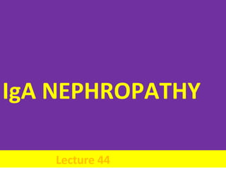 IgA NEPHROPATHY
Lecture 44
 