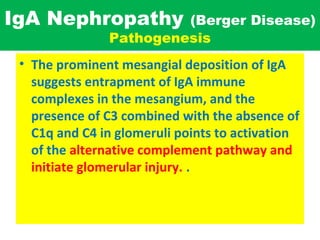IgA Nephropathy (Berger Disease)
Pathogenesis
• The prominent mesangial deposition of IgA
suggests entrapment of IgA immune
complexes in the mesangium, and the
presence of C3 combined with the absence of
C1q and C4 in glomeruli points to activation
of the alternative complement pathway and
initiate glomerular injury. .
 