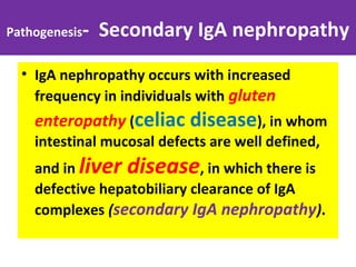 Pathogenesis- Secondary IgA nephropathy
• IgA nephropathy occurs with increased
frequency in individuals with gluten
enteropathy (celiac disease), in whom
intestinal mucosal defects are well defined,
and in liver disease, in which there is
defective hepatobiliary clearance of IgA
complexes (secondary IgA nephropathy).
 
