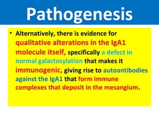 Pathogenesis
• Alternatively, there is evidence for
qualitative alterations in the IgA1
molecule itself, specifically a defect in
normal galactosylation that makes it
immunogenic, giving rise to autoantibodies
against the IgA1 that form immune
complexes that deposit in the mesangium.
 