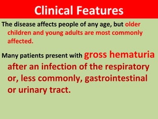 Clinical Features
The disease affects people of any age, but older
children and young adults are most commonly
affected.
Many patients present with gross hematuria
after an infection of the respiratory
or, less commonly, gastrointestinal
or urinary tract.
 