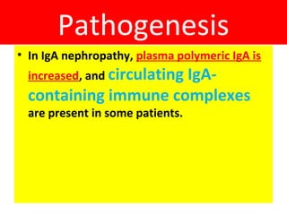 Pathogenesis
• In IgA nephropathy, plasma polymeric IgA is
increased, and circulating IgA-
containing immune complexes
are present in some patients.
 