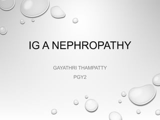 IG A NEPHROPATHY
GAYATHRI THAMPATTY
PGY2
 
