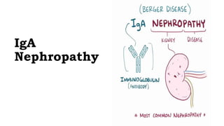 IgA
Nephropathy
 