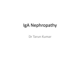 IgA Nephropathy
Dr Tarun Kumar
 