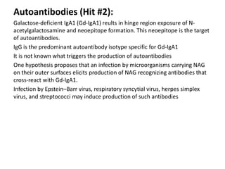 Autoantibodies (Hit #2):
Galactose-deficient IgA1 (Gd-IgA1) reults in hinge region exposure of N-
acetylgalactosamine and neoepitope formation. This neoepitope is the target
of autoantibodies.
IgG is the predominant autoantibody isotype specific for Gd-IgA1
It is not known what triggers the production of autoantibodies
One hypothesis proposes that an infection by microorganisms carrying NAG
on their outer surfaces elicits production of NAG recognizing antibodies that
cross-react with Gd-IgA1.
Infection by Epstein–Barr virus, respiratory syncytial virus, herpes simplex
virus, and streptococci may induce production of such antibodies
 