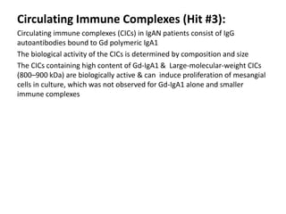 Circulating Immune Complexes (Hit #3):
Circulating immune complexes (CICs) in IgAN patients consist of IgG
autoantibodies bound to Gd polymeric IgA1
The biological activity of the CICs is determined by composition and size
The CICs containing high content of Gd-IgA1 & Large-molecular-weight CICs
(800–900 kDa) are biologically active & can induce proliferation of mesangial
cells in culture, which was not observed for Gd-IgA1 alone and smaller
immune complexes
 
