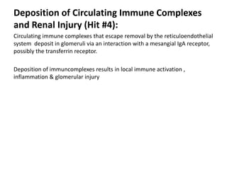 Deposition of Circulating Immune Complexes
and Renal Injury (Hit #4):
Circulating immune complexes that escape removal by the reticuloendothelial
system deposit in glomeruli via an interaction with a mesangial IgA receptor,
possibly the transferrin receptor.
Deposition of immuncomplexes results in local immune activation ,
inflammation & glomerular injury
 