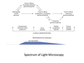 Spectrum of Light Microscopy
 
