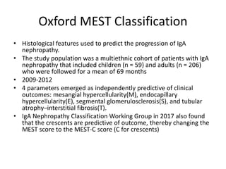 Oxford MEST Classification
• Histological features used to predict the progression of IgA
nephropathy.
• The study population was a multiethnic cohort of patients with IgA
nephropathy that included children (n = 59) and adults (n = 206)
who were followed for a mean of 69 months
• 2009-2012
• 4 parameters emerged as independently predictive of clinical
outcomes: mesangial hypercellularity(M), endocapillary
hypercellularity(E), segmental glomerulosclerosis(S), and tubular
atrophy–interstitial fibrosis(T).
• IgA Nephropathy Classification Working Group in 2017 also found
that the crescents are predictive of outcome, thereby changing the
MEST score to the MEST-C score (C for crescents)
 