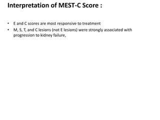 Interpretation of MEST-C Score :
• E and C scores are most responsive to treatment
• M, S, T, and C lesions (not E lesions) were strongly associated with
progression to kidney failure,
 