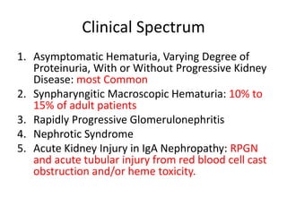 Clinical Spectrum
1. Asymptomatic Hematuria, Varying Degree of
Proteinuria, With or Without Progressive Kidney
Disease: most Common
2. Synpharyngitic Macroscopic Hematuria: 10% to
15% of adult patients
3. Rapidly Progressive Glomerulonephritis
4. Nephrotic Syndrome
5. Acute Kidney Injury in IgA Nephropathy: RPGN
and acute tubular injury from red blood cell cast
obstruction and/or heme toxicity.
 