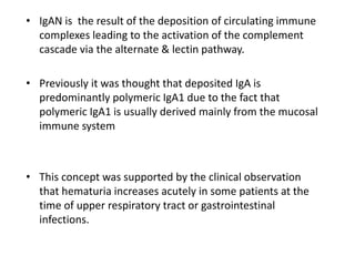 • IgAN is the result of the deposition of circulating immune
complexes leading to the activation of the complement
cascade via the alternate & lectin pathway.
• Previously it was thought that deposited IgA is
predominantly polymeric IgA1 due to the fact that
polymeric IgA1 is usually derived mainly from the mucosal
immune system
• This concept was supported by the clinical observation
that hematuria increases acutely in some patients at the
time of upper respiratory tract or gastrointestinal
infections.
 