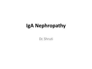 IgA Nephropathy
Dr. Shruti
 