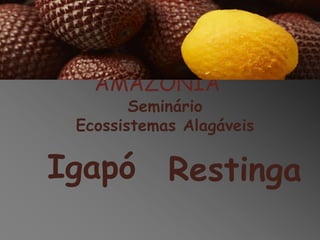 ESTUDOS
INTEGRATIVOS DA
AMAZÔNIA
Seminário
Ecossistemas Alagáveis

Igapó Restinga

 