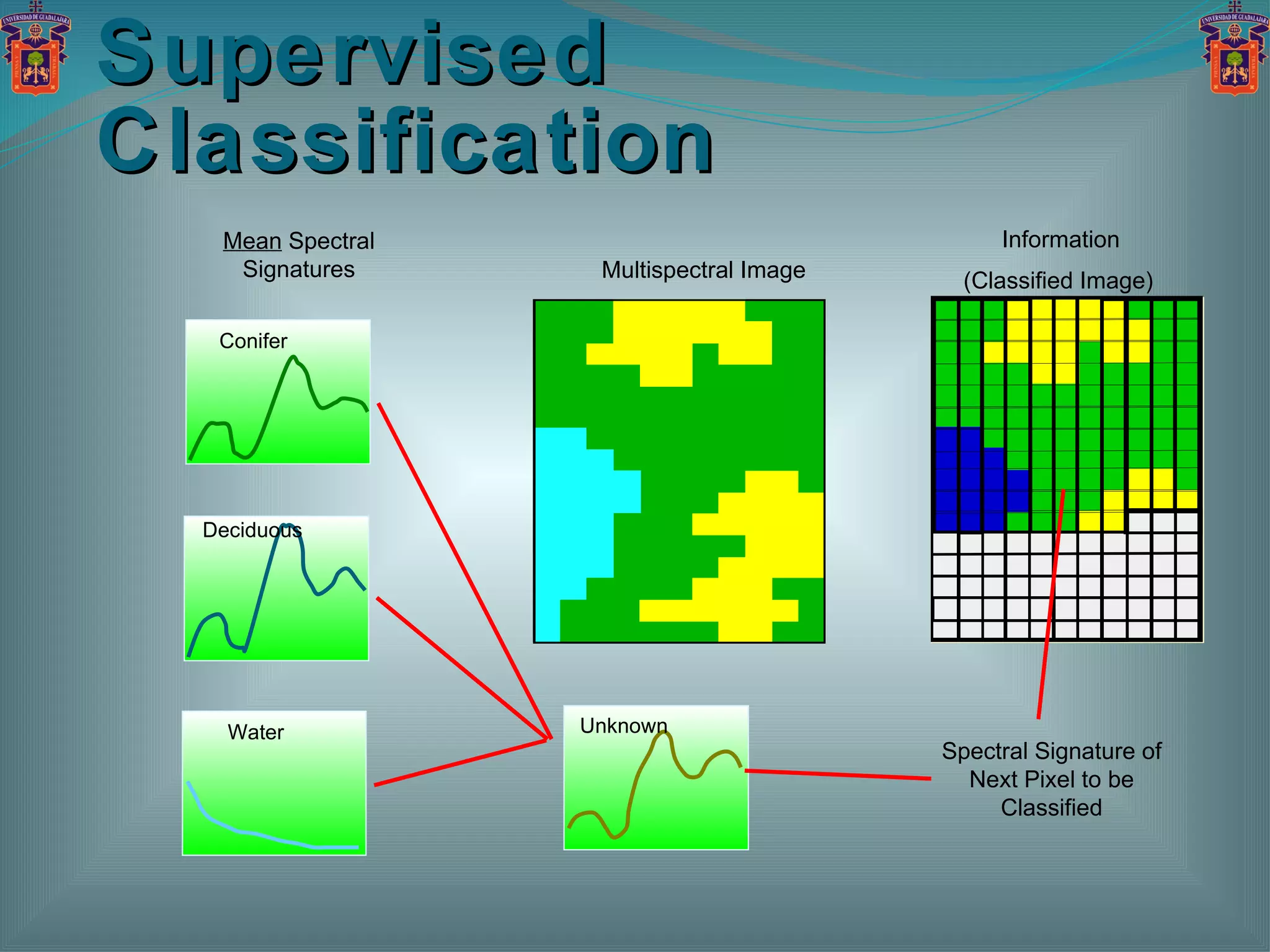 Supervised Classification Multispectral Image Information (Classified Image) Mean  Spectral Signatures Spectral Signature of Next Pixel to be Classified Conifer Deciduous Water Unknown 
