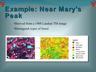 Example: Near Mary’s Peak Derived from a 1988 Landsat TM image Distinguish types of forest Open Semi-open Broadleaf Mixed Young Conifer Mature Conifer Old Conifer Legend 