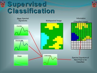 Supervised Classification Multispectral Image Information (Classified Image) Mean  Spectral Signatures Spectral Signature of Next Pixel to be Classified Conifer Deciduous Water Unknown 