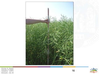ConclusionsL-band dual-pol SAR has the potential to correct for disturbing effects occurring in grassland ecosystems without the use of a priori knowledge