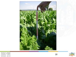 Thank you for your attention.Acknowledgements The authors thank the Japan Aerospace Exploration Agency (JAXA) and the European Space Agency (ESA) for the provision of ALOS PALSAR data through their PI programme (AOALO.3570). Financial support by the SFB/TR32 "Patterns in Soil-Vegetation-Atmosphere Systems" funded by the German Research Foundation (DFG) is gratefully acknowledged. christian.koyama@uni-koeln.dewww.tr32.de- 13 -