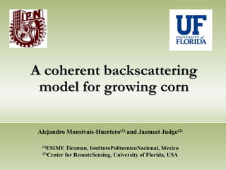 A coherent backscattering model for growing corn Alejandro Monsivais-Huertero(1) and Jasmeet Judge(2) (1)ESIME Ticoman, InstitutoPolitecnicoNacional, Mexico (2)Center for RemoteSensing, University of Florida, USA 