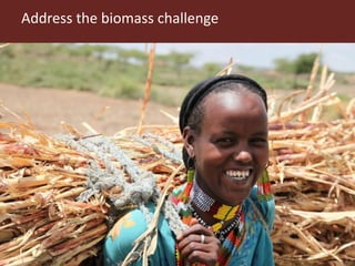 Integrated crop livestock systems:A key to sustainable intensification in Africa