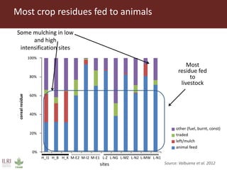 Integrated crop livestock systems:A key to sustainable intensification in Africa