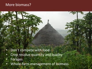 Integrated crop livestock systems:A key to sustainable intensification in Africa