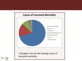 Importance of livestock production from grasslands for national and local food and nutritional security in developing countries