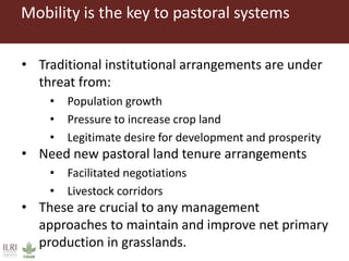 Importance of livestock production from grasslands for national and local food and nutritional security in developing countries