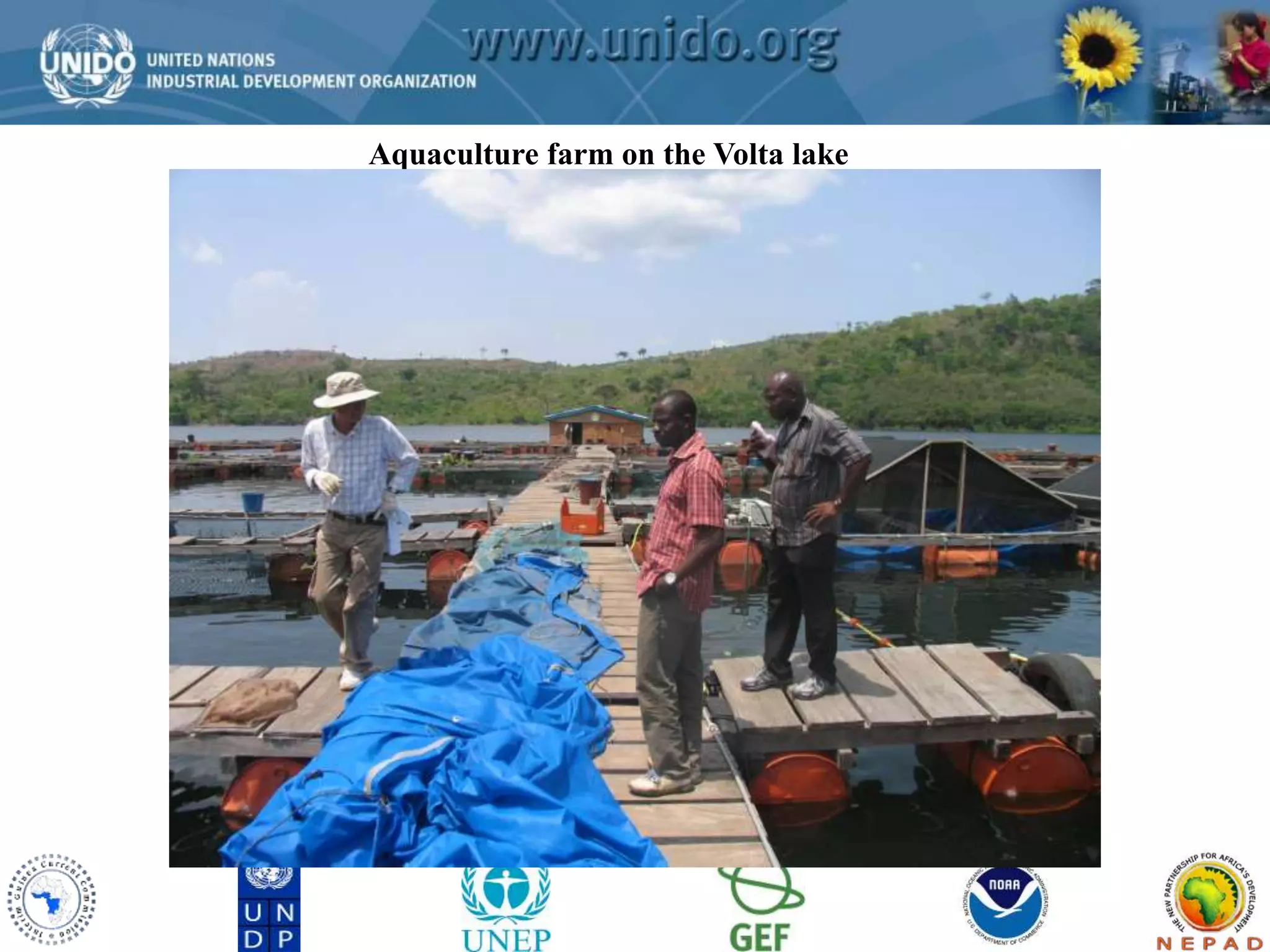 GCLME Project 
Aquaculture farm on the Volta lake 
 