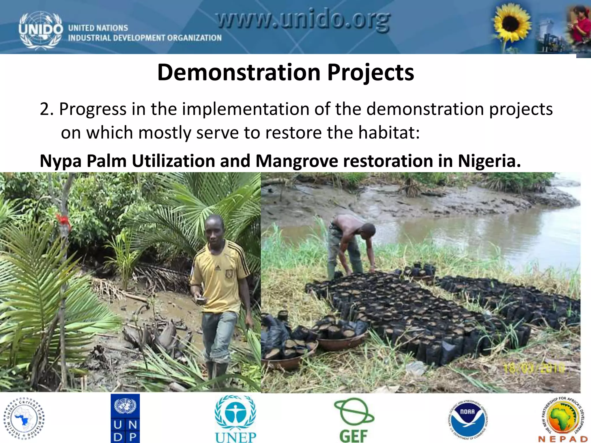 Demonstration Projects 
GCLME Project 
2. Progress in the implementation of the demonstration projects 
on which mostly serve to restore the habitat: 
Nypa Palm Utilization and Mangrove restoration in Nigeria. 
 