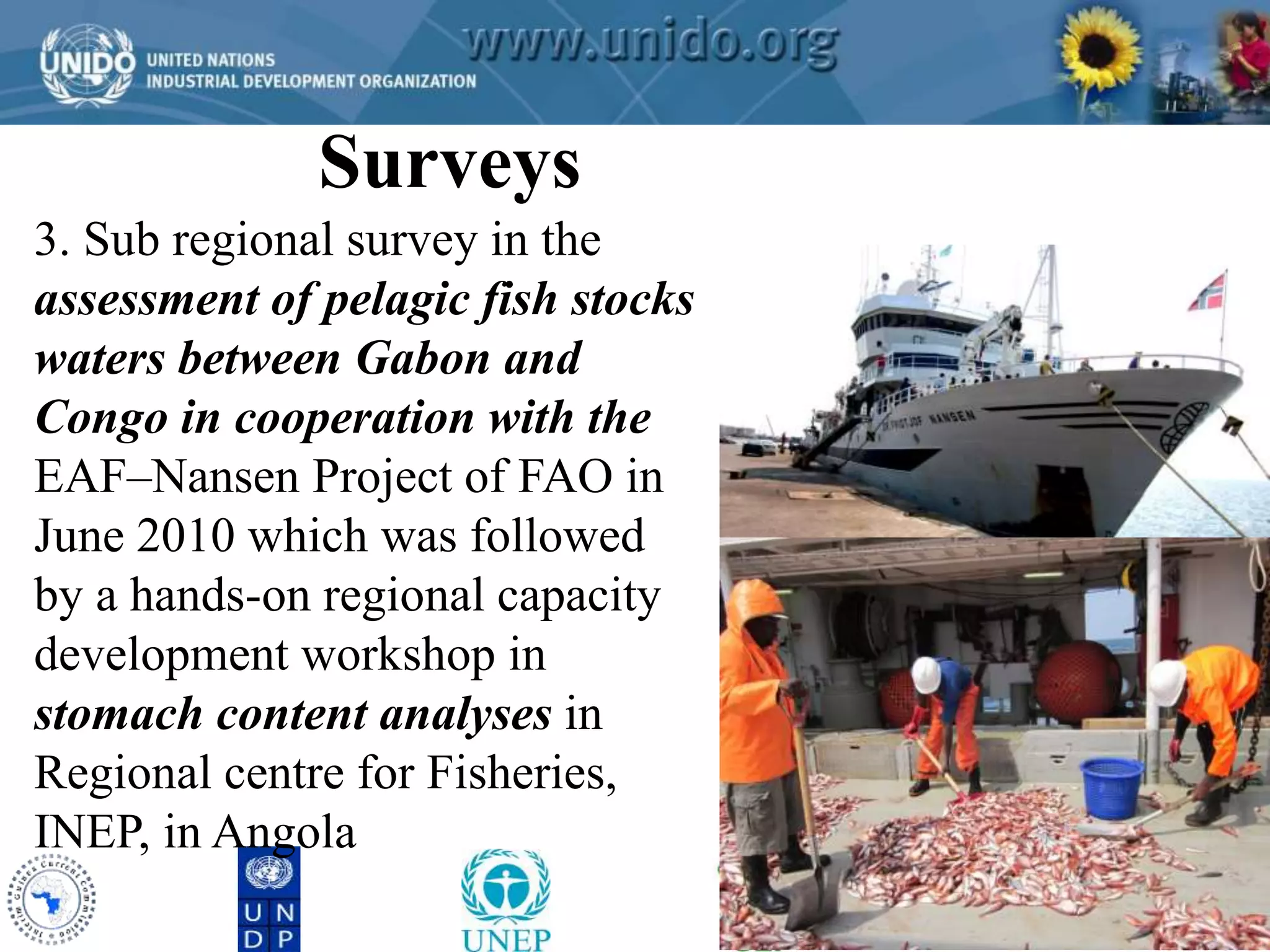 Surveys 
GCLME Project 
3. Sub regional survey in the 
assessment of pelagic fish stocks 
waters between Gabon and 
Congo in cooperation with the 
EAF–Nansen Project of FAO in 
June 2010 which was followed 
by a hands-on regional capacity 
development workshop in 
stomach content analyses in 
Regional centre for Fisheries, 
INEP, in Angola 
 