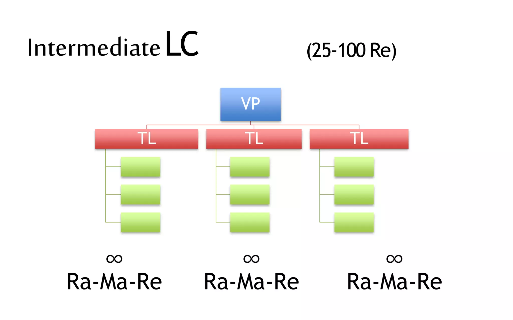 VP
TL TL TL
∞
Ra-Ma-Re
∞
Ra-Ma-Re
∞
Ra-Ma-Re
IntermediateLC (25-100 Re)
 
