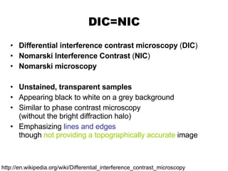 DIC=NIC Differential interference contrast microscopy  ( DIC ) Nomarski Interference Contrast  ( NIC )  Nomarski microscopy Unstained, transparent samples Appearing black to white on a grey background  Similar to phase contrast microscopy (without the bright diffraction halo) Emphasizing  lines and edges   though  not providing a topographically accurate  image  http://en.wikipedia.org/wiki/Differential_interference_contrast_microscopy 