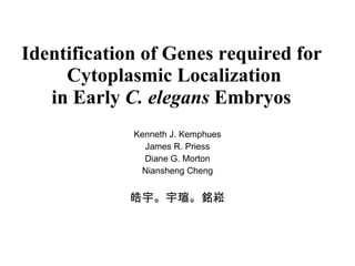 Identification of Genes required for  Cytoplasmic Localization in Early  C. elegans  Embryos   Kenneth J. Kemphues James R. Priess Diane G. Morton Niansheng Cheng 皓宇。宇瑄。銘崧 