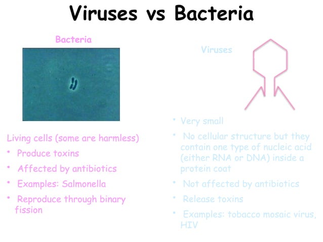 iGCSE-EdExcel-9-1-Biology-topic-1---The-Nature-and-Variety-of-Living ...