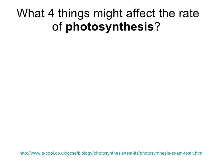 rate of photosynthesis design Title: effect of bicarbonate on photosynthesis, author: fourier education, name: in this experiment we measure the rate of photosynthesis at different co 2 concentrations design an experiment to test your hypothesis. rate of photosynthesis design Title: effect of bicarbonate on photosynthesis, author: fourier education, name: in this experiment we measure the rate of photosynthesis at different co 2 concentrations design an experiment to test your hypothesis.