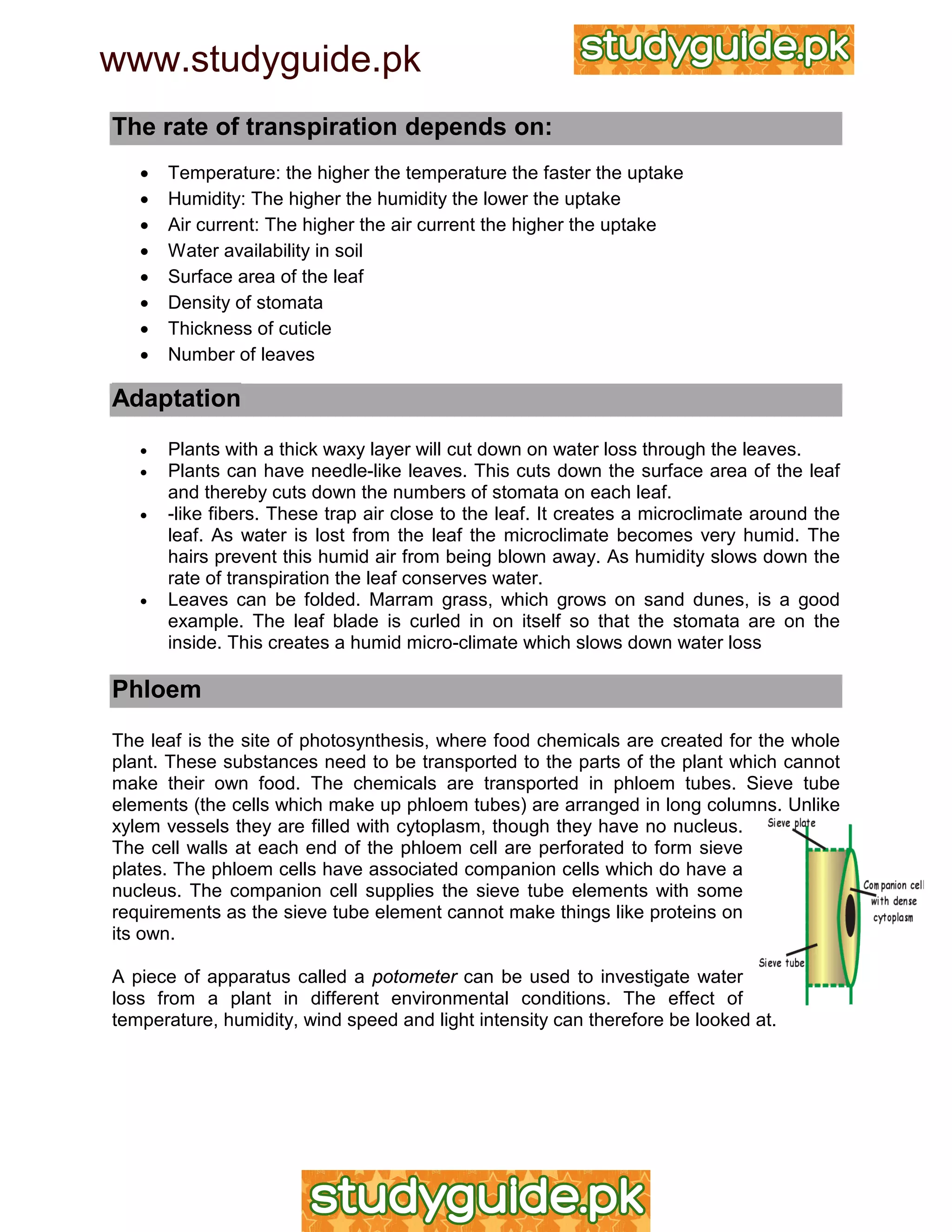 IGCSE Biology Revision Notes | PDF